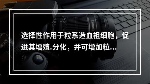 选择性作用于粒系造血祖细胞，促进其增殖.分化，并可增加粒系终