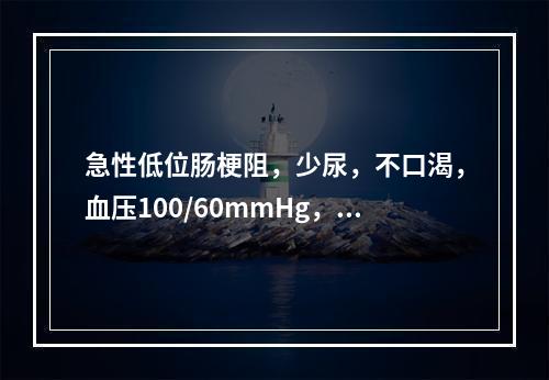 急性低位肠梗阻，少尿，不口渴，血压100/60mmHg，心率