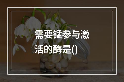 需要锰参与激活的酶是()