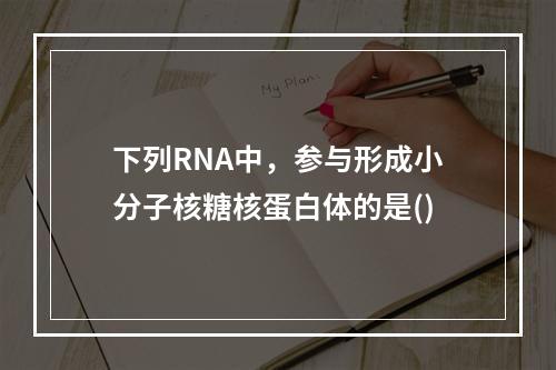 下列RNA中，参与形成小分子核糖核蛋白体的是()