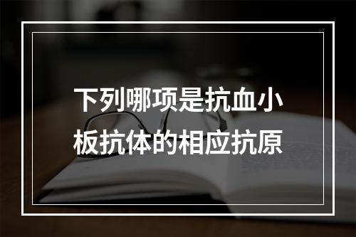 下列哪项是抗血小板抗体的相应抗原