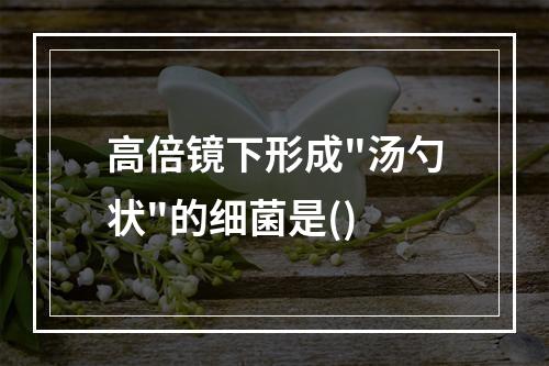 高倍镜下形成