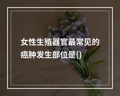 女性生殖器官最常见的癌肿发生部位是()