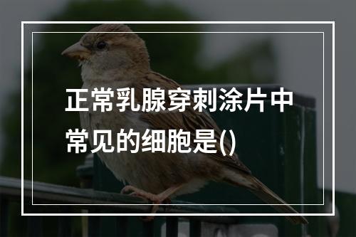 正常乳腺穿刺涂片中常见的细胞是()