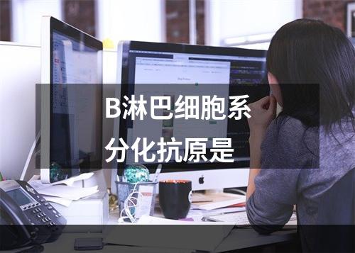 B淋巴细胞系分化抗原是