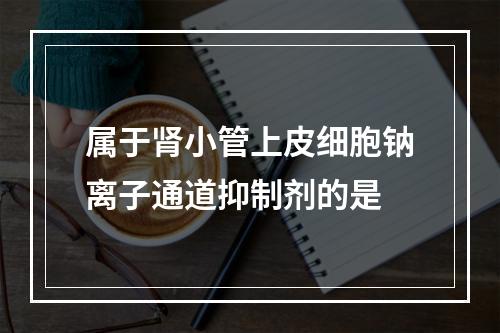 属于肾小管上皮细胞钠离子通道抑制剂的是