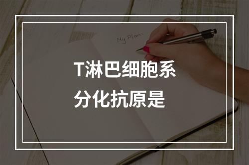 T淋巴细胞系分化抗原是