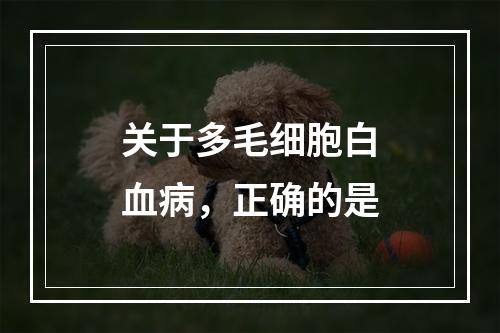 关于多毛细胞白血病，正确的是