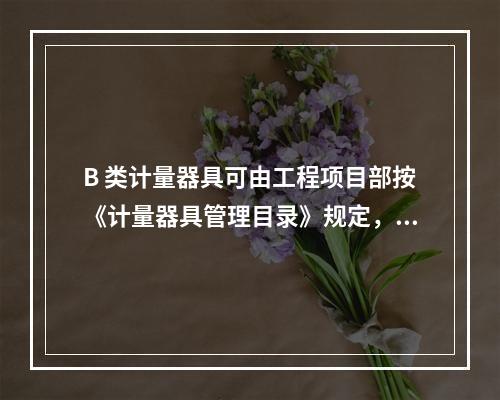 B 类计量器具可由工程项目部按《计量器具管理目录》规定，可以