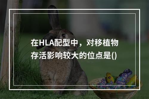 在HLA配型中，对移植物存活影响较大的位点是()