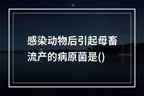 感染动物后引起母畜流产的病原菌是()