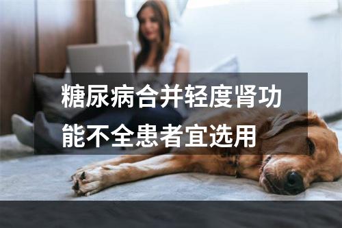 糖尿病合并轻度肾功能不全患者宜选用