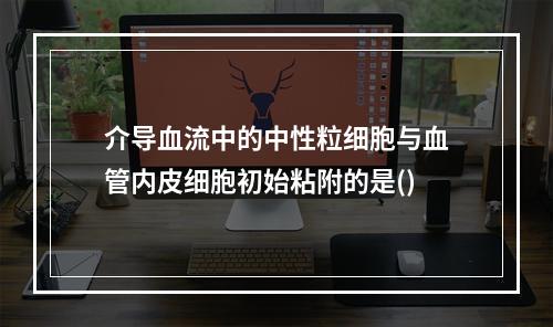 介导血流中的中性粒细胞与血管内皮细胞初始粘附的是()