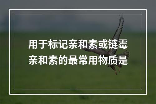 用于标记亲和素或链霉亲和素的最常用物质是