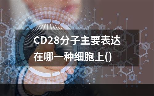 CD28分子主要表达在哪一种细胞上()