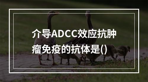 介导ADCC效应抗肿瘤免疫的抗体是()