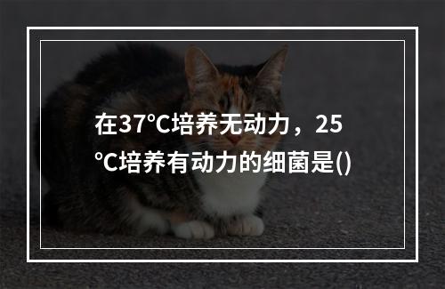 在37℃培养无动力，25℃培养有动力的细菌是()