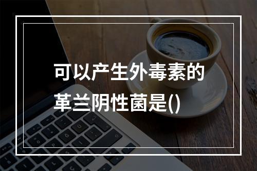 可以产生外毒素的革兰阴性菌是()