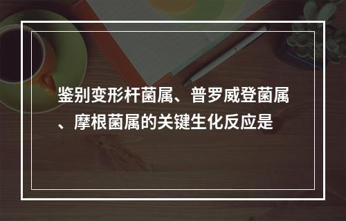 鉴别变形杆菌属、普罗威登菌属、摩根菌属的关键生化反应是