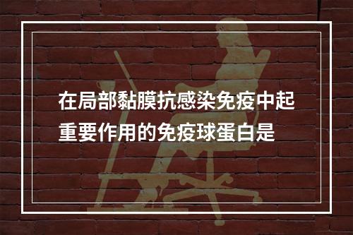 在局部黏膜抗感染免疫中起重要作用的免疫球蛋白是