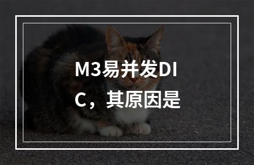 M3易并发DIC，其原因是