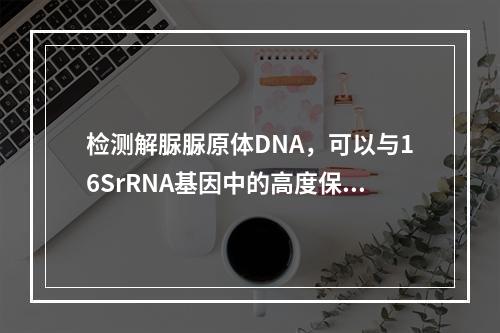 检测解脲脲原体DNA，可以与16SrRNA基因中的高度保守区