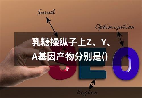 乳糖操纵子上Z、Y、A基因产物分别是()