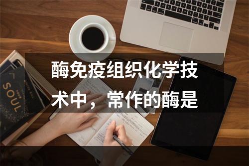 酶免疫组织化学技术中，常作的酶是