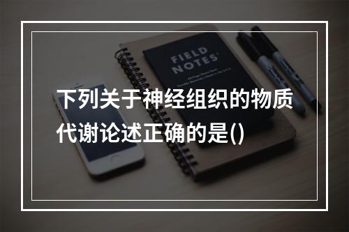 下列关于神经组织的物质代谢论述正确的是()