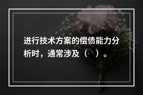 进行技术方案的偿债能力分析时，通常涉及（　）。