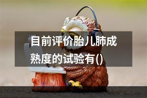 目前评价胎儿肺成熟度的试验有()