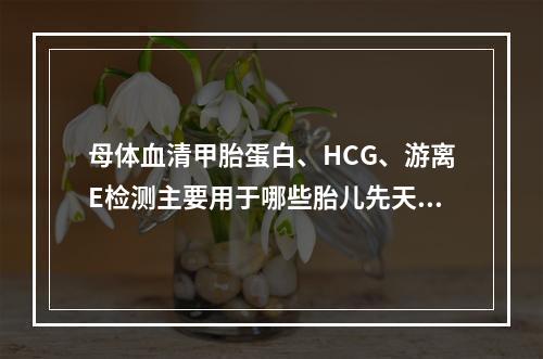 母体血清甲胎蛋白、HCG、游离E检测主要用于哪些胎儿先天性缺