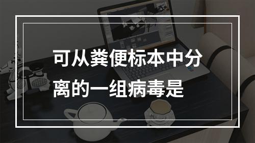 可从粪便标本中分离的一组病毒是