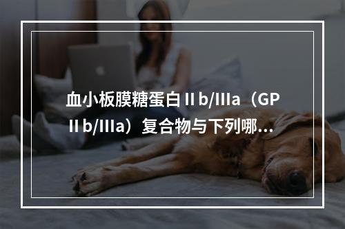 血小板膜糖蛋白Ⅱb/Ⅲa（GPⅡb/Ⅲa）复合物与下列哪种血