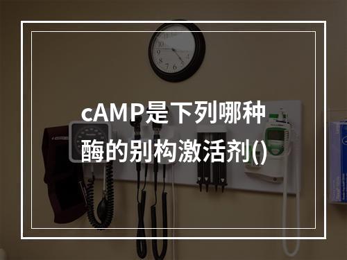 cAMP是下列哪种酶的别构激活剂()