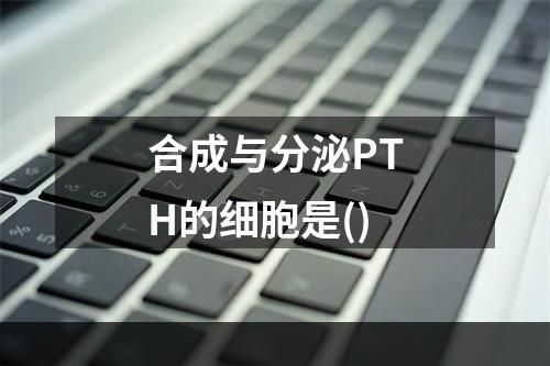 合成与分泌PTH的细胞是()