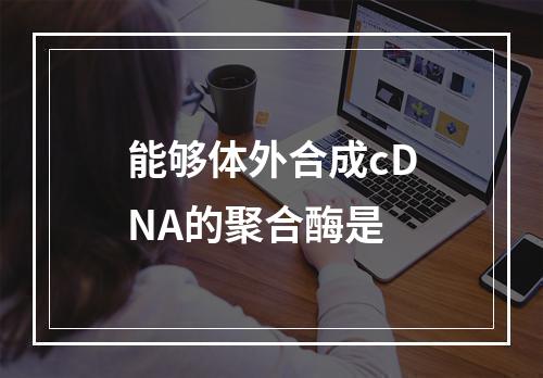 能够体外合成cDNA的聚合酶是