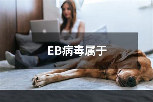 EB病毒属于