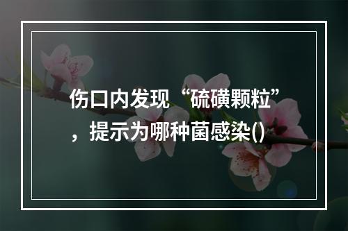 伤口内发现“硫磺颗粒”，提示为哪种菌感染()