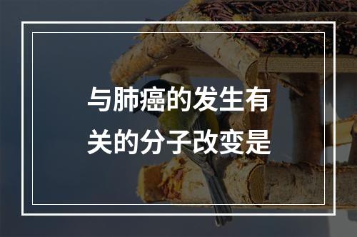 与肺癌的发生有关的分子改变是