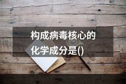 构成病毒核心的化学成分是()