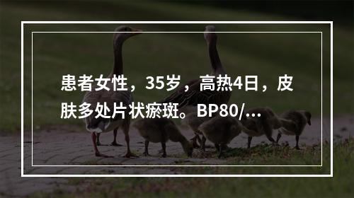 患者女性，35岁，高热4日，皮肤多处片状瘀斑。BP80/45