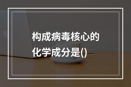 构成病毒核心的化学成分是()