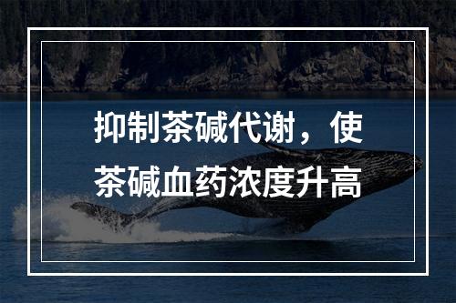 抑制茶碱代谢，使茶碱血药浓度升高