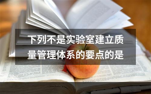 下列不是实验室建立质量管理体系的要点的是