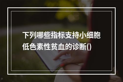 下列哪些指标支持小细胞低色素性贫血的诊断()