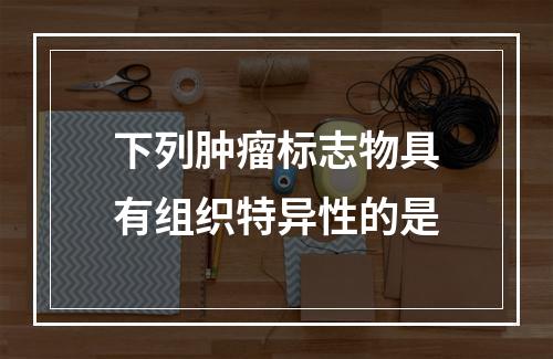 下列肿瘤标志物具有组织特异性的是