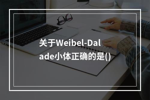 关于Weibel-Dalade小体正确的是()