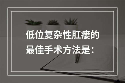 低位复杂性肛瘘的最佳手术方法是：