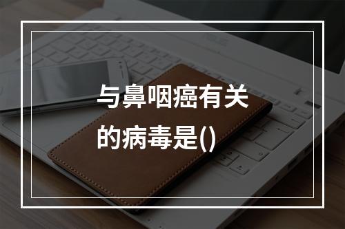 与鼻咽癌有关的病毒是()